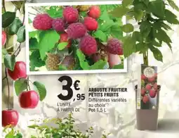 E.Leclerc Jardi Arbuste fruitier petits fruits offre