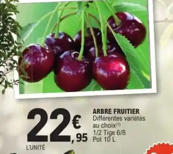 Arbre fruitier