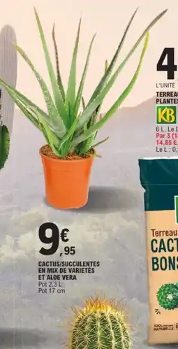 E.Leclerc Jardi Cactus/succulentes en mix de varietés et aloe vera offre