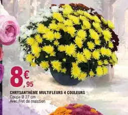 E.Leclerc Jardi Chrysanthème multifleurs 4 couleurs offre