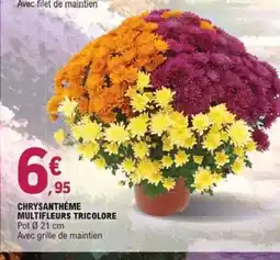 E.Leclerc Jardi Chrysanthème multifleurs tricolore offre