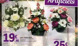 E.Leclerc Jardi Coupe triangle rosea offre