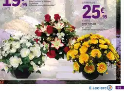 E.Leclerc Jardi Potée pamplone offre