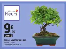 E.Leclerc Express Bonsaï d'intérieur 5 ans offre