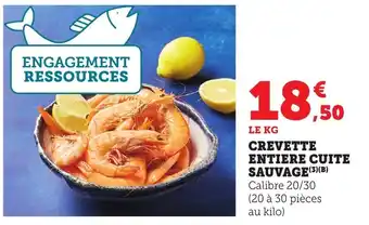 Bi1 Crevette entiere cuite sauvage offre