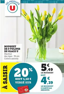 Bi1 Bouquet de 9 tulipes de glace u offre