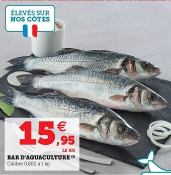 Bar d'aquaculture