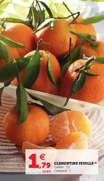 Hyper U Clementine feuille offre