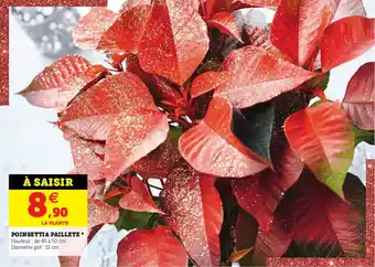 Hyper U Poinsettia paillete offre