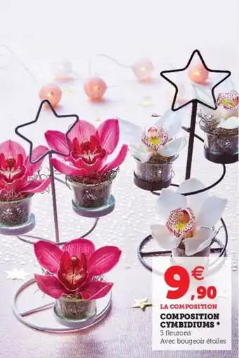 Hyper U Composition cymbidiums offre