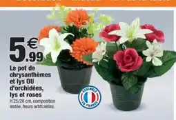 Bazarland Le pot de chrysanthèmes et lys ou d'orchidées, lys et roses offre