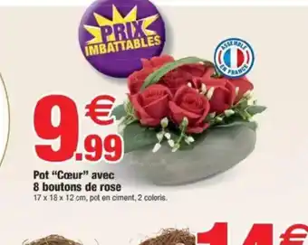 Bazarland Pot Cœur avec 8 boutons de rose offre