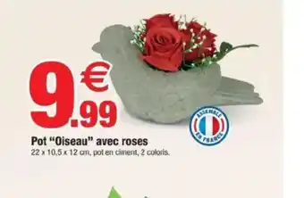 Bazarland Pot Oiseau avec roses offre