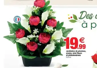 Bazarland Jardinière de pivoines, arums, mini fleurs et philodendron offre