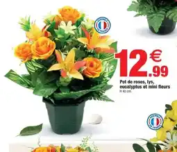 Bazarland Pot de roses, lys, eucalyptus et mini fleurs offre