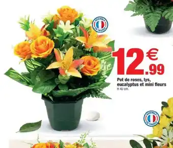 Bazarland Pot de roses, lys, eucalyptus et mini fleurs offre