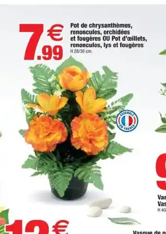 Bazarland Pot de chrysanthèmes, renoncules, orchidées et fougères OU Pot d'œillets, renoncules, lys et fougères offre