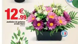 Bazarland Jardinière de gerberas et mini fleurs offre