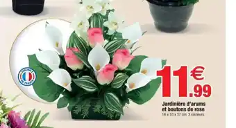 Bazarland Jardinière d'arums et boutons de rose offre