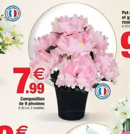 Bazarland Composition de 9 pivoines offre