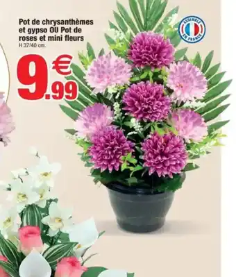 Bazarland Pot de chrysanthèmes et gypso ou pot de roses et mini fleurs offre