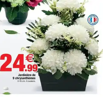 Bazarland Jardinière de 9 chrysanthèmes offre