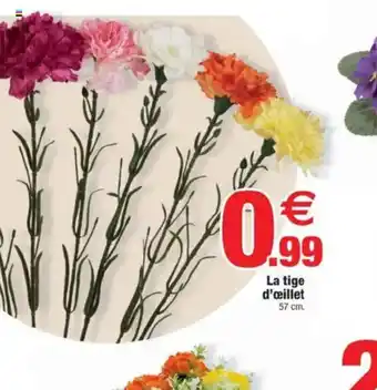 Bazarland La tige d'œillet offre