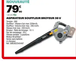 Brico Dépôt Aspirateur souffleur broyeur 36 v offre