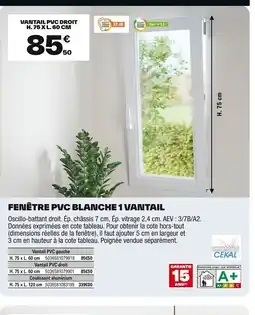 Brico Dépôt Fenêtre pvc blanche 1 vantail offre