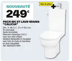 Brico Dépôt Pack wc et lave-mains calicia offre