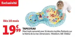 Auchan Tapis d'eau offre