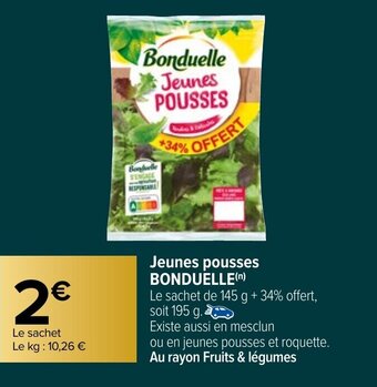 Carrefour Jeunes Pousses offre