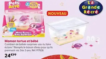 La Grande Récré Maman tortue et bébé offre