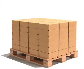 Brico Dépôt Coffret perceuse visseuse18v 2x3ah offre