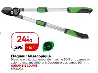 Weldom GEOLIA Élagueur télescopique offre