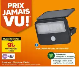 Castorama Projecteur LED solaire 750 lm offre