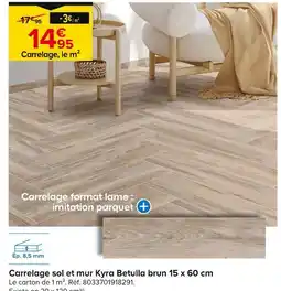 Castorama Carrelage sol et mur Kyra Betulla brun 15 x 60 cm offre