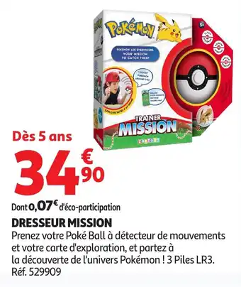 Auchan Dresseur mission offre