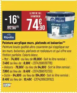 Bricorama RIPOLIN acrylique murs, plafonds et boiseries offre