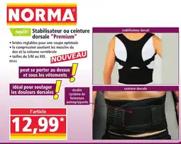 Norma Topfit stabilisateur ou ceinture dorsale premium offre