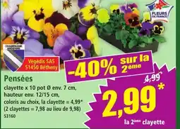Norma Pensées offre