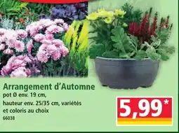 Norma Arrangement d'Automne offre