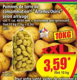 Norma Pommes de terre de consommation artemis osiris offre