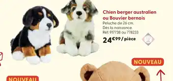 La Grande Récré Chien berger australien ou Bouvier bernois offre