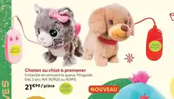 La Grande Récré Chaton ou chiot à promener offre