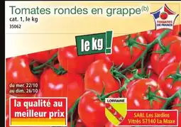 Norma Tomates rondes en grappe offre