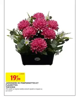 Intermarché Hyper Jardiniere de pomponnettes et fleurettes thevenin offre