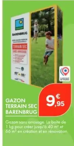 Point Vert Gazon terrain sec barenbrug offre