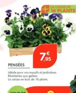 Point Vert Pensées offre