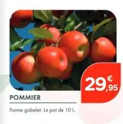 Point Vert Pommier offre